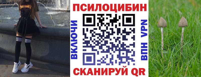 Псилоцибиновые грибы прущие грибы  mega ТОР  Карачев  как найти наркотики 